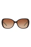 Tiffany & Co Women's Pillow Cat Eye Sunglasses, 55mm In Brown Gradient