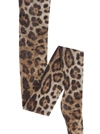 Dolce & Gabbana Leopard Print Tights In Tulle In Brown