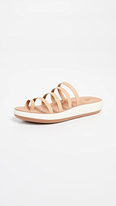 Ancient Greek Sandals Niki Comfort' - 棕色 In Brown