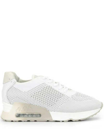 Ash Lucky Knit Trainers - White