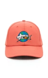 JUST DON ISLANDERS SHARK EMBROIDERED COTTON BASEBALL HAT,693680