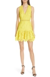 ALICE AND OLIVIA MARLEEN FIT & FLARE LACE DRESS,CC903L13540