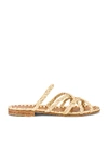 CARRIE FORBES Noura Sandal,CAFO-WZ3