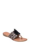 ANDRE ASSOUS NOVALEE SANDAL,NOVALEE-PO