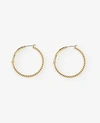 ANN TAYLOR ROPED HOOP EARRINGS,508064