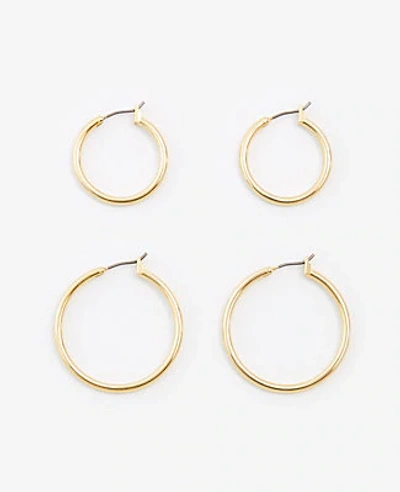 Ann Taylor Hoop Earring Set In Gold