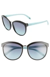 Tiffany & Co 56mm Cat Eye Sunglasses In Black/ Azure Gradient