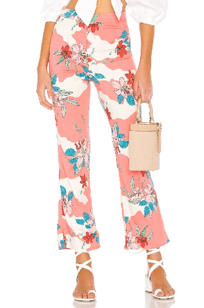 Amuse Society Kori High Waisted Trouser In Guava