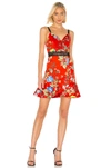 ALICE AND OLIVIA KIRBY SPAGHETTI STRAP DRESS,ALI-WD704