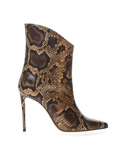 Aldo Castagna Ankle Boot In Pythoned Brown Leather In Brown/sand