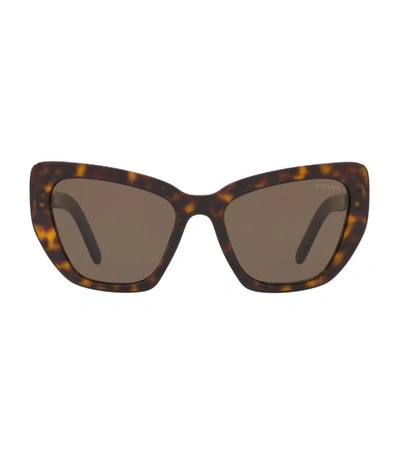 Prada Cat-eye Acetate Sunglasses In Brown