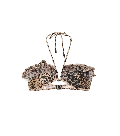 Zimmermann Allia Leopard-print Bikini Top In Beige