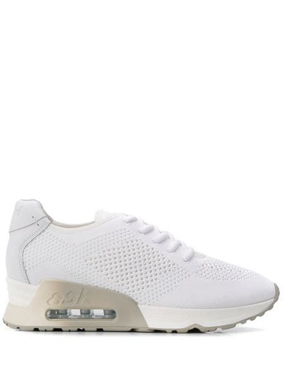 Ash Lucky Knit Trainers - White