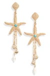 Ettika Starfish Seeker Drop Earrings In Gold
