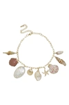 Ettika Private Island Shell Necklace In Gold