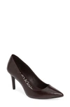 Calvin Klein 'gayle' Pointy Toe Pump In Eggplant Leather