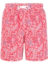 HACKETT PAISLEY PRINT SWIMMING SHORTS