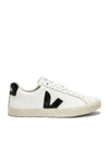 Veja Sneakers Field In Multi