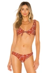 BOND EYE Sunset Crop Bikini Top,BONR-WX156