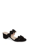 Patricia Green Palm Beach Slide Sandal In Black/ Black Suede