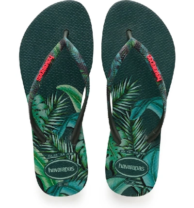 Havaianas Slim Sensation Flip Flops In Olive Green