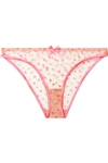 AGENT PROVOCATEUR BRIE SATIN-TRIMMED EMBROIDERED TULLE BRIEFS