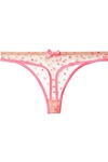 AGENT PROVOCATEUR BRIE SATIN-TRIMMED EMBROIDERED TULLE THONG