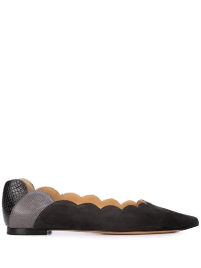 Chloé Women's Lauren Scalloped Suede & Leather Pointed-toe Flats In Black