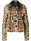 Liska Leopard Print Jacket In Neutrals