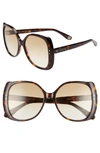 GUCCI 56MM GRADIENT BUTTERFLY SUNGLASSES,GG0472S002