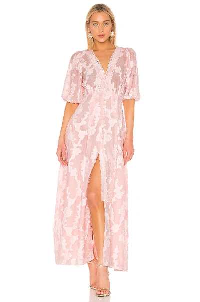 Tanya Taylor Ariela Floral-embroidered Jacquard Maxi Dress In Blush