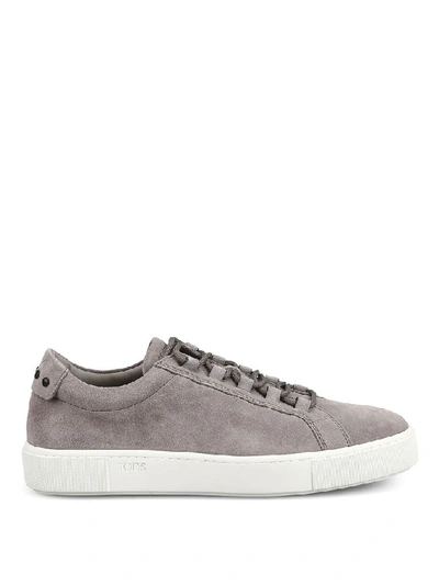 Tod's Sneakers In Grey Suede