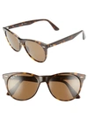 Ray Ban Ray-ban Polarized Round Sunglasses, 55mm In Polarized Brown Classic B-15