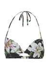 DOLCE & GABBANA PRINTED BIKINI TOP,717951