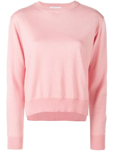 Alexandra Golovanoff Crew Neck Jumper In Pink