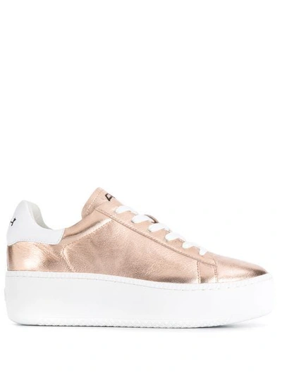 Ash Cult Trainers In Gold