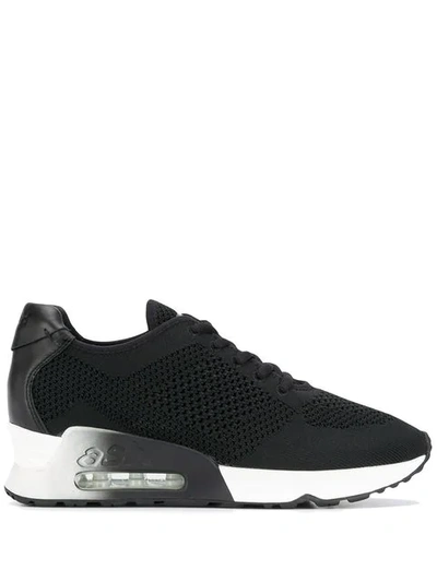 Ash Lucky  Knit Trainers - Black