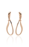 Gavello 14k Gold Earrings In Gold