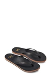 BEEK SEABIRD FLIP FLOP,SEABIRD