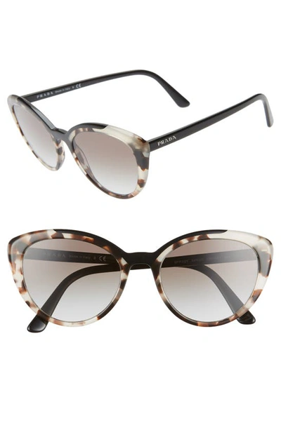 Prada 54mm Cat Eye Sunglasses In Opal Brown