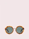 Kate Spade Karries 52mm Round Sunglasses - Brown In Honey Havana