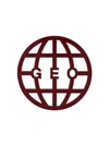 GEO Geo globe brooch