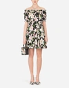 Dolce & Gabbana Off-the-shoulder Ruffled Floral-print Cotton-poplin Dress In Floral Print