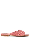 CARRIE FORBES Miringi Sandal,CAFO-WZ10