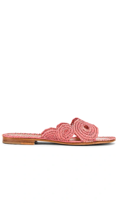 Carrie Forbes Salon Miste Raffia Slide Sandals In Coral