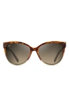 Maui Jim Women's Olu Olu Polarized Cat Eye Sunglasses, 59mm In Tortoise Tan/bronze Polarized