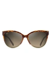 Tortoise Tan/Bronze Polarized