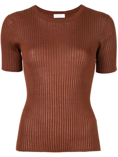 Ballsey Ribbed Knit T-shirt - 棕色 In Brown