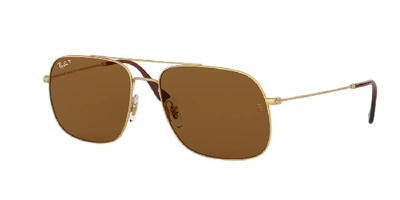 Ray Ban Ray-ban Andrea Polarized Sunglasses, Rb3595 59 In Brown