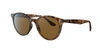 Ray Ban Ray In Brown Classic